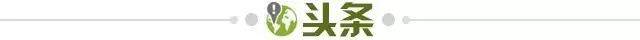 赛程表-【早报】荷兰光头执教英超红色豪门，这集我看过